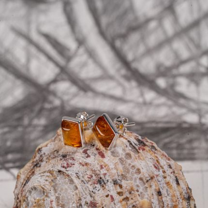 earring.silver.amber.219
