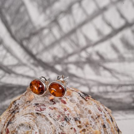 earring.silver.amber.220