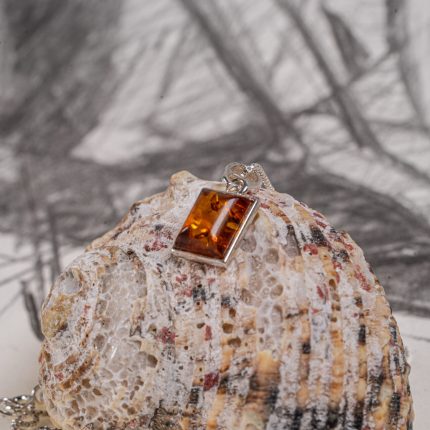 element.silver.amber.242